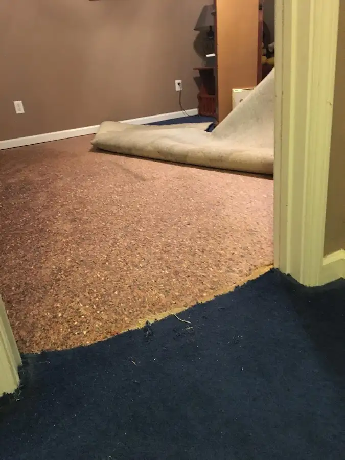 Carpet pad removal revealing water damage during Drying & Dehumidification in Hooper