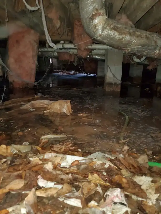 Crawl space flood assessment for Commercial Water Damage Restoration in Hooper